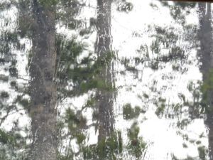 6 rain on skylight (January Thaws)