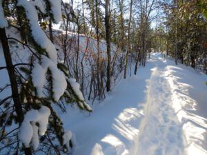 8 trail (The Days Are Getting Longer!)