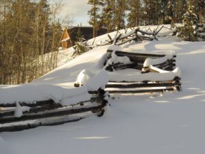 9 cabin (The Days Are Getting Longer!)