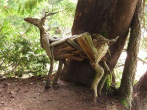 12 deer (2015 Galiano Literary Festival)