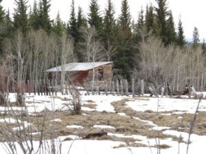 10 goat barn (Equinox)