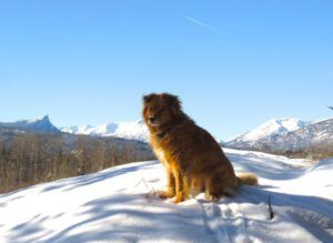 11 harry (Spring Is Just Around The Corner)