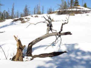 13 on bluff (Spring Is Just Around The Corner)