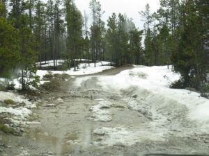 13 yesterday puddles (Megathaw!)