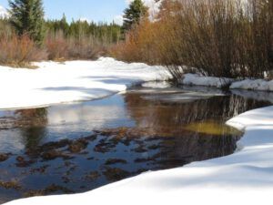 16 open creek (Equinox)