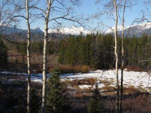 18a my house through trees (Equinox)