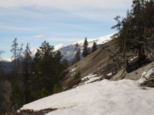 5 bare bluff (Megathaw!)