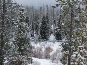 5 fresh snow (Spring Is Just Around The Corner)