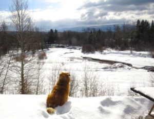 8 river (Spring Is Just Around The Corner)