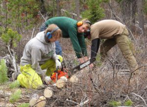 1 3 volunteers (The New Batch of Volunteers)