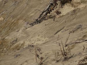 10 sand patterns (The Snow, At Last, Is Going.)