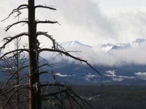 15 dunes 2 (The Snow, At Last, Is Going.)