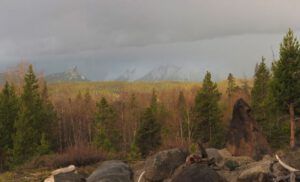 17 odd gloom (Spring Block at Kleena Kleene)