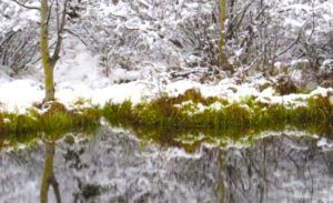 2 snow on pond (Bella Coola Spring)