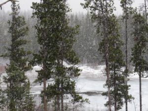 3 FALLING SNOW (The Snow, At Last, Is Going.)