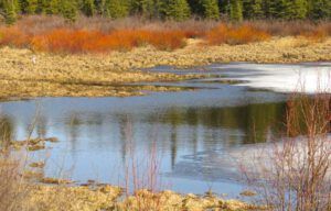 4 last of ice (Spring Block at Kleena Kleene)