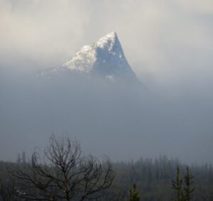 5 Finger Peak peeking (The Snow, At Last, Is Going.)
