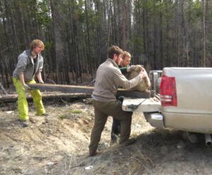 5 rock ramp 2 (The New Batch of Volunteers)