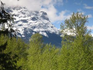 7 stupendous (Bella Coola Spring)