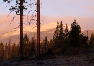 7a orange nogwon (Spring Block at Kleena Kleene)