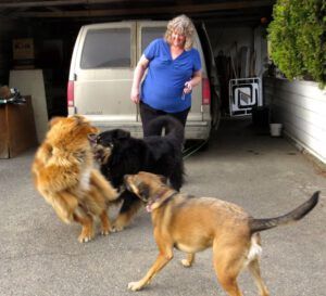 DR and dogs 2 (Where Harry Was Born)