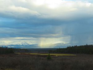 IMG_3222 (Bella Coola Spring)
