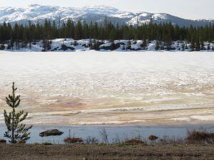 12 frozen pond IMG_3447 (The New Batch of Volunteers.)
