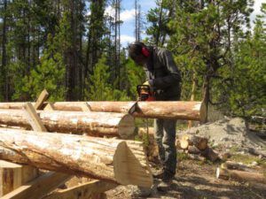 12 trimming ends (More Volunteer Work.)