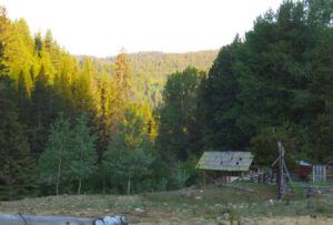 14 early morning (2015 Precipice Cattle Drive)