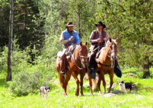 3. the pros (2015 Precipice Cattle Drive)