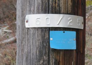 5 pole # (A Classic Chilcotin Contraption)