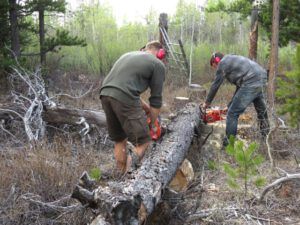 6.chainsawing jpg (The New Batch of Volunteers.)