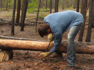 8 peeling 2 (More Volunteer Work.)