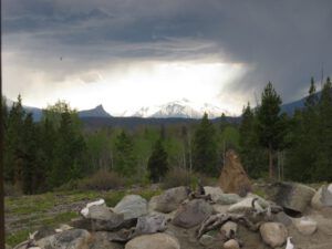 IMG_3552 (Spring At Last.)