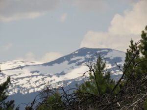 nogwon (More Volunteer Work.)