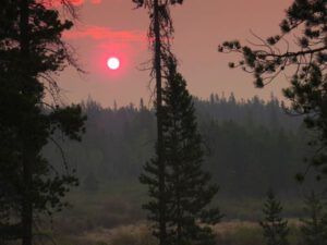 smoke sunrise (Spring At Last.)