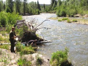 13 river for drinking (June Volunteers)