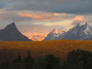 14 FP sunrise (Summer!)