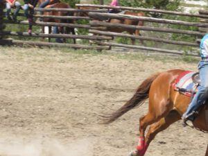 15 rear end (Tatla Lake Gymkhana)