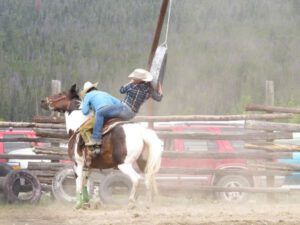 tire 3 (Tatla Lake Gymkhana)