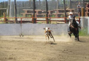 10 got hm (Anahim Lake Stampede 2015)