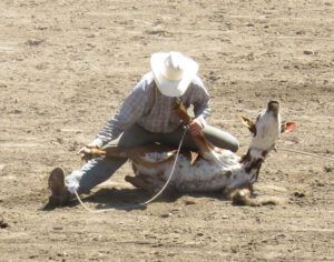 12 calf rope 3 (Anahim Lake Stampede 2015)
