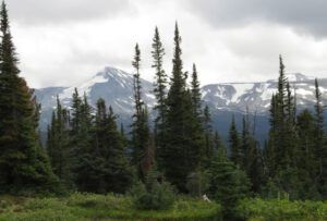 12 wilderness and flattop (Nuk Tessli – North Pass Lake)