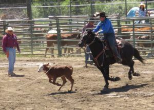 13 calf rope 2a (Anahim Lake Stampede 2015)