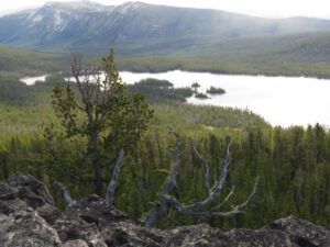 18 cabins from lookout (Nuk Tessli – North Pass Lake)