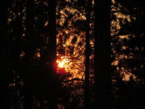 20 smokey sun (Heatwave Continues)