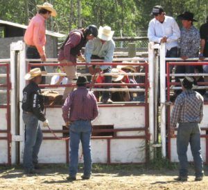 24a preparing lucas (Anahim Lake Stampede 2015)