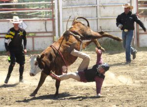 26 lucas down (Anahim Lake Stampede 2015)