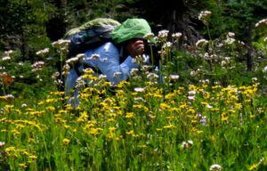 3 2 doreen (Nuk Tessli – The North Ridge Meadows)