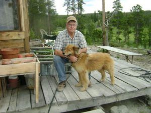 3 old deck (My New Deck)